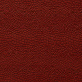 Clarke & Clarke CASTUS SPICE Upholstery Fabric