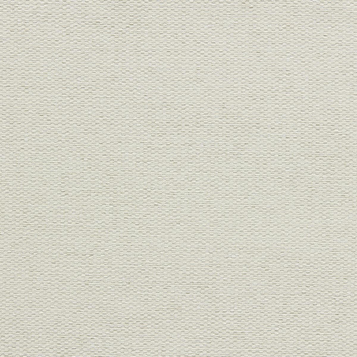 Clarke & Clarke TERGO IVORY Upholstery Fabric