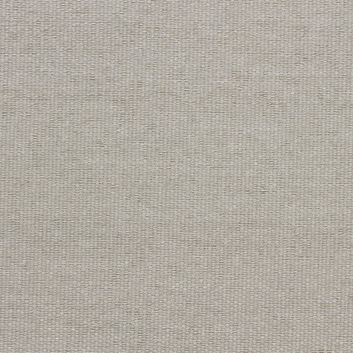 Clarke & Clarke TERGO PEBBLE Upholstery Fabric