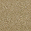 Clarke & Clarke ARCATA GOLD Upholstery Fabric