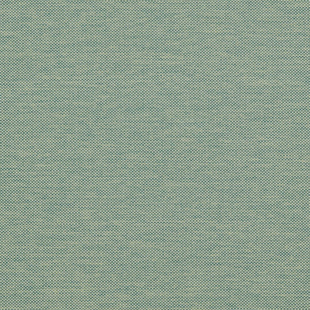 Clarke & Clarke CAMERON FOREST Upholstery Fabric