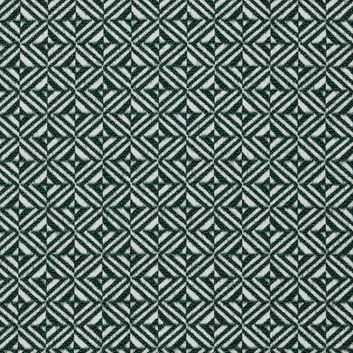 Clarke & Clarke CORONADO FOREST Upholstery Fabric