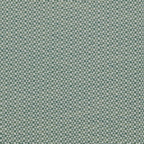 Clarke & Clarke MORRO FOREST Upholstery Fabric