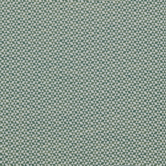 Clarke & Clarke MORRO FOREST Upholstery Fabric