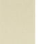 Clarke & Clarke RYMAN SAHARA Wallpaper