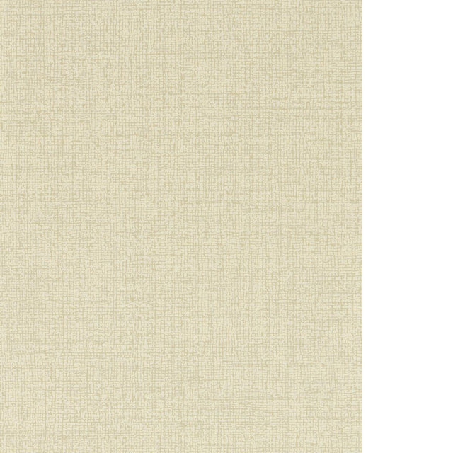 Clarke & Clarke RYMAN SAHARA Wallpaper