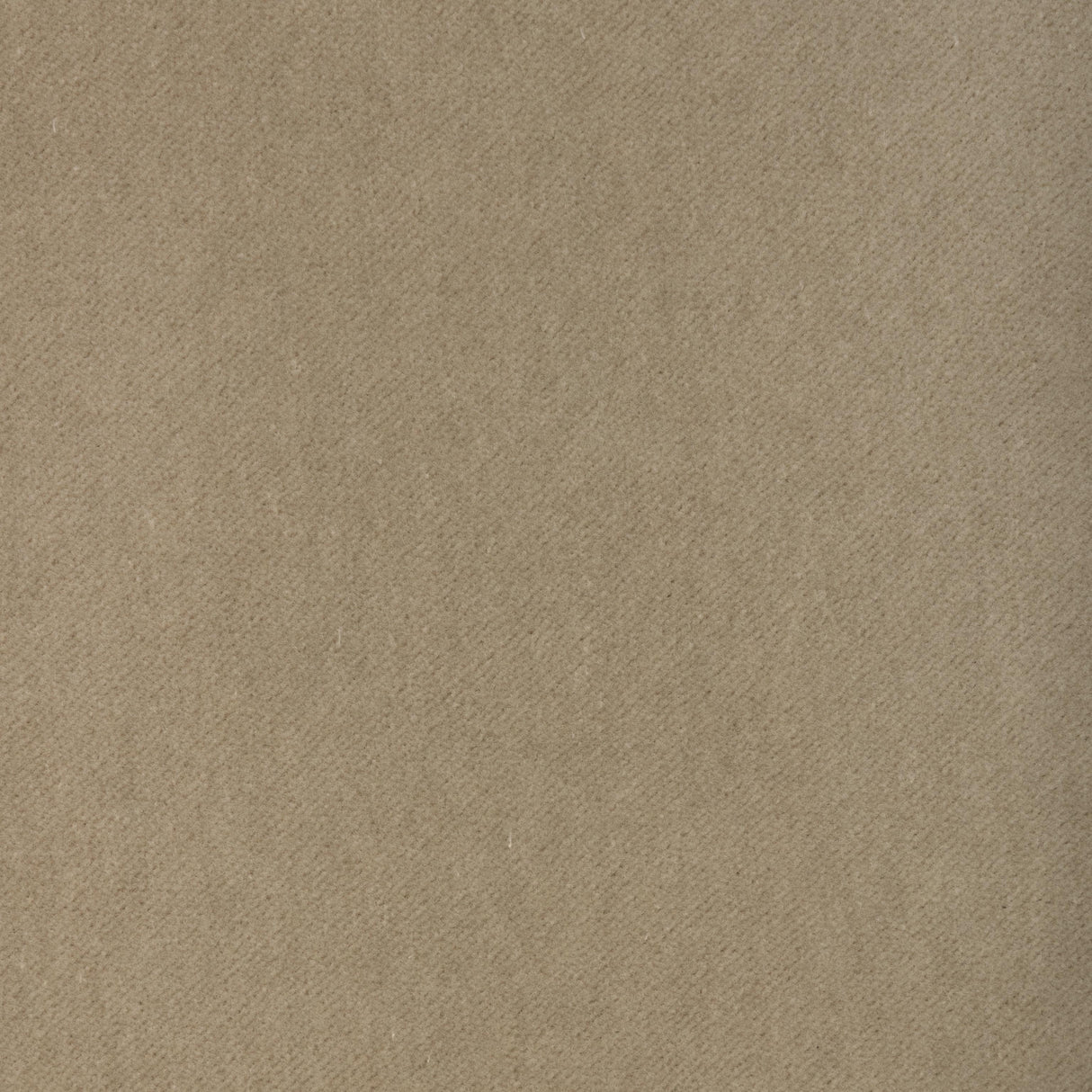 Kravet TEMPO CANVAS Upholstery Fabric