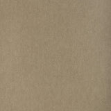 Kravet TEMPO CANVAS Upholstery Fabric