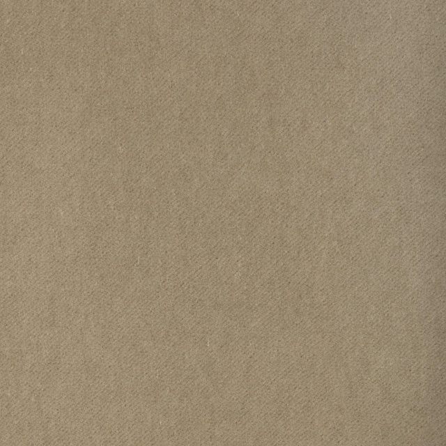 Kravet TEMPO CANVAS Upholstery Fabric