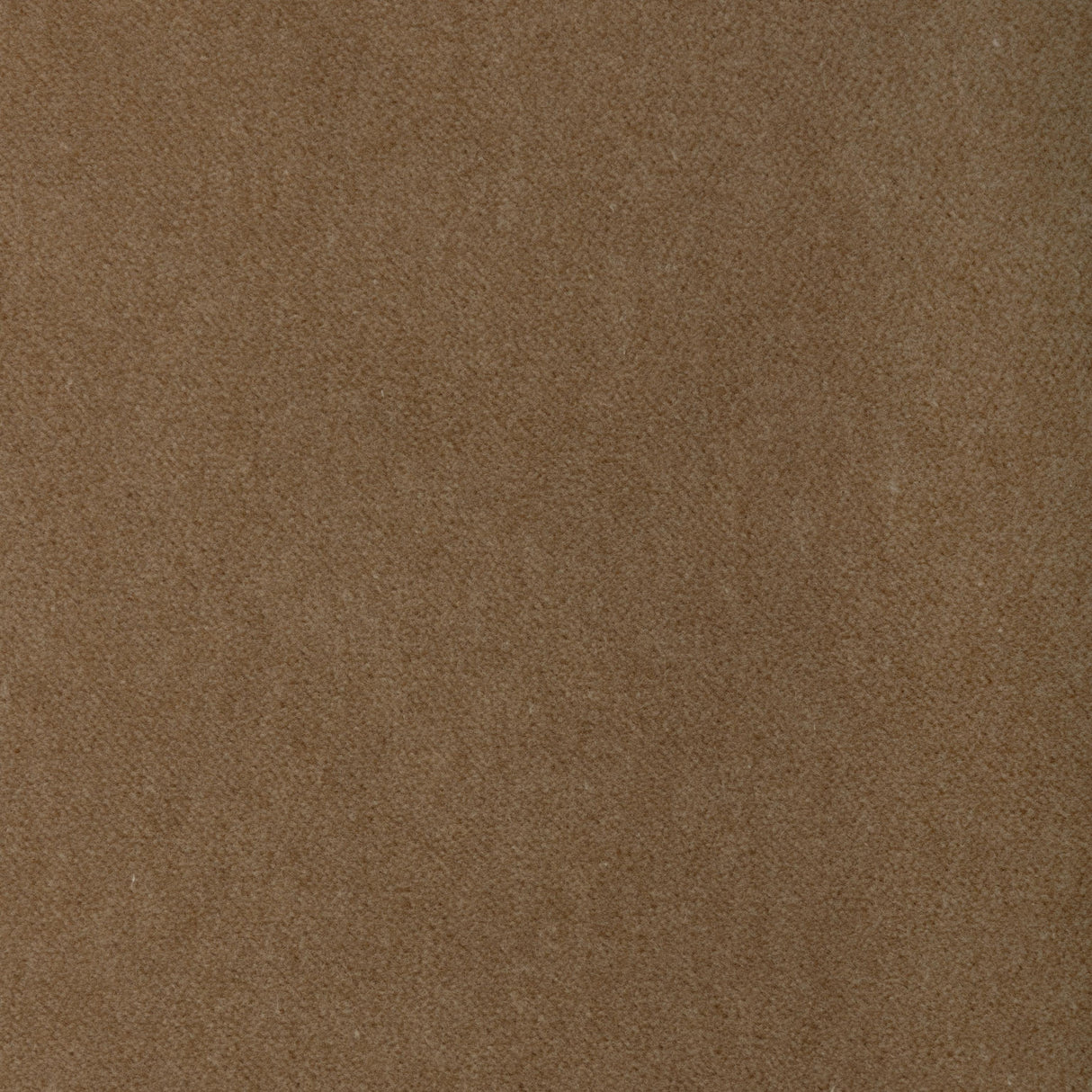 Kravet TEMPO BRULEE Upholstery Fabric