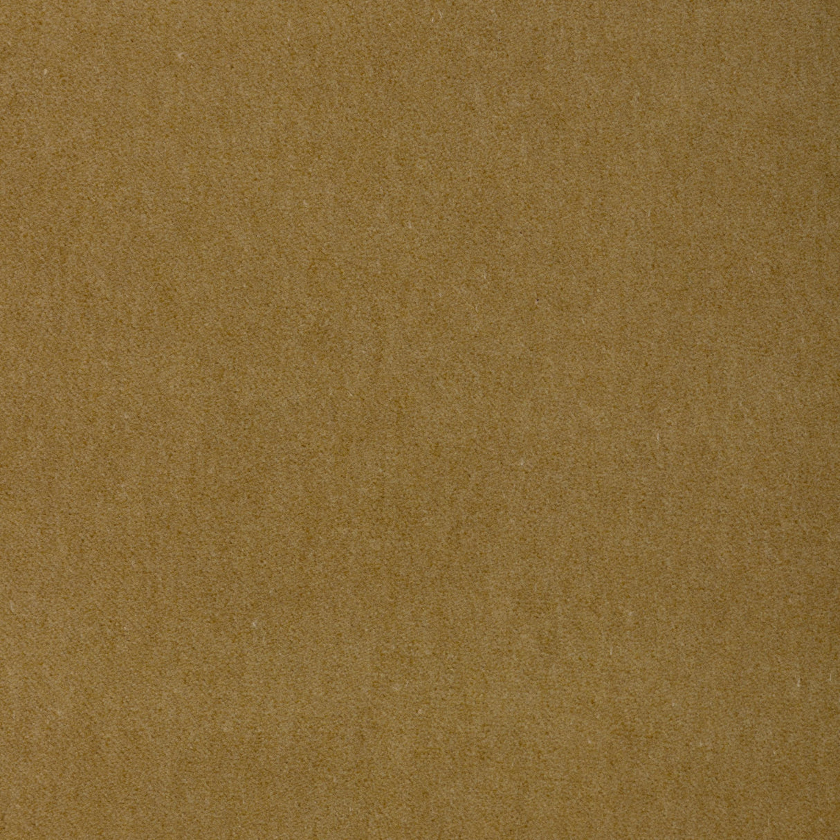 Kravet TEMPO GREEN TEA Upholstery Fabric