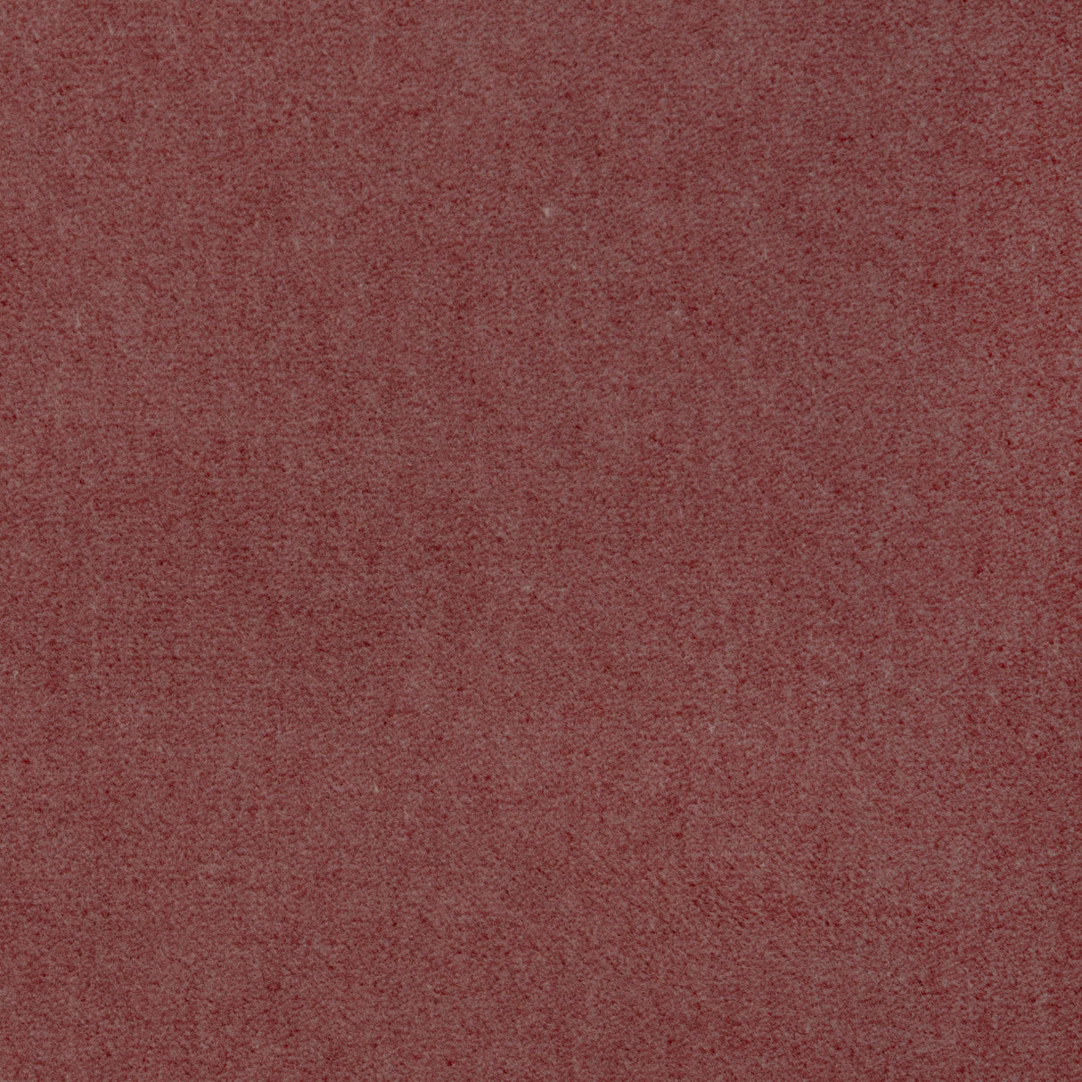 Kravet TEMPO PETAL Upholstery Fabric