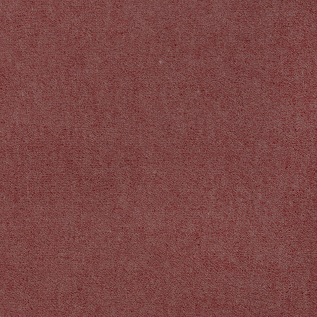 Kravet TEMPO PETAL Upholstery Fabric