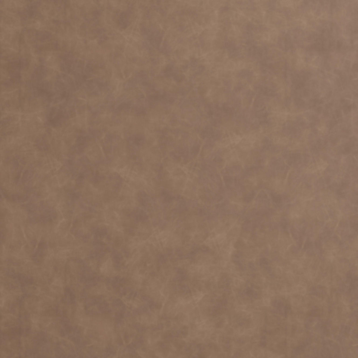 ZUO Verbena Barstool (Set of 2) Brown