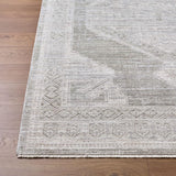 Livabliss Pierre Loti PPL-2301 7'10" x 10' Machine Woven Rug