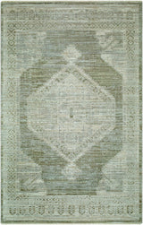 Livabliss Pierre Loti PPL-2301 2'11" x 7'7" Machine Woven Rug