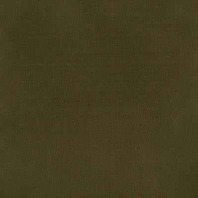 Pindler RAQUEL LODEN Fabric
