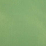 Pindler RAQUEL LEAF Fabric