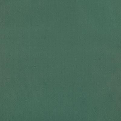 Pindler RAQUEL AGAVE Fabric
