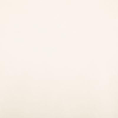 Pindler RAQUEL BONE Fabric