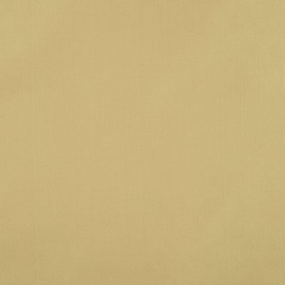 Pindler RAQUEL GLOW Fabric