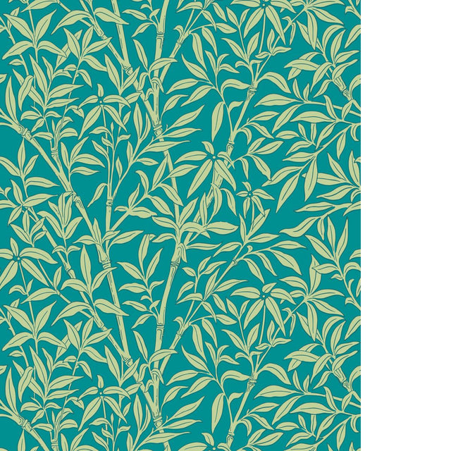 Cole & Son BAMBOO FOREST PETROL Wallpaper