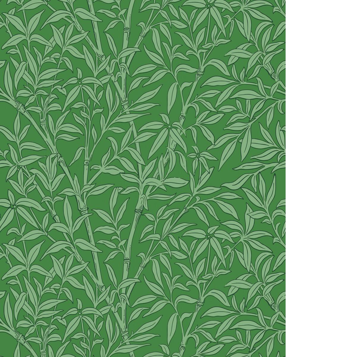 Cole & Son BAMBOO FOREST EMERALD Wallpaper