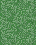 Cole & Son BAMBOO FOREST EMERALD Wallpaper