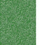 Cole & Son BAMBOO FOREST EMERALD Wallpaper