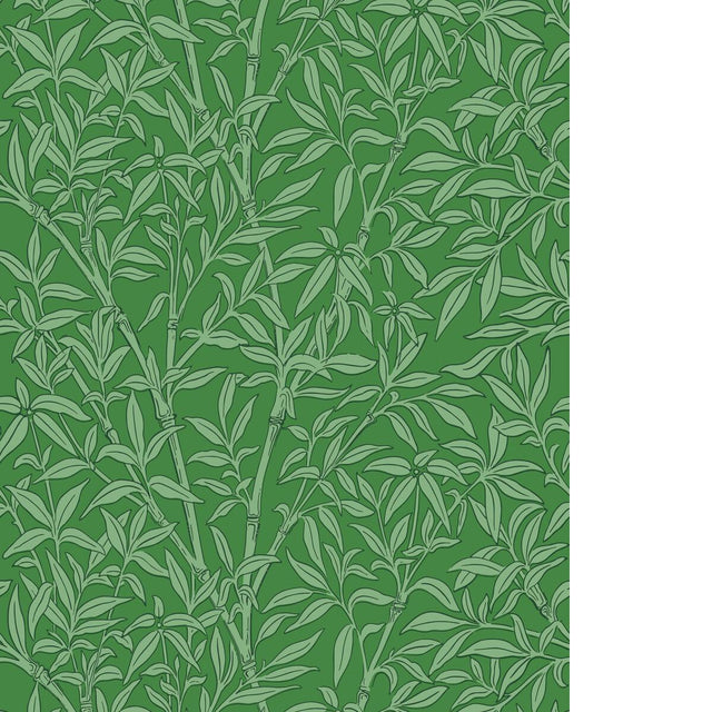 Cole & Son BAMBOO FOREST EMERALD Wallpaper