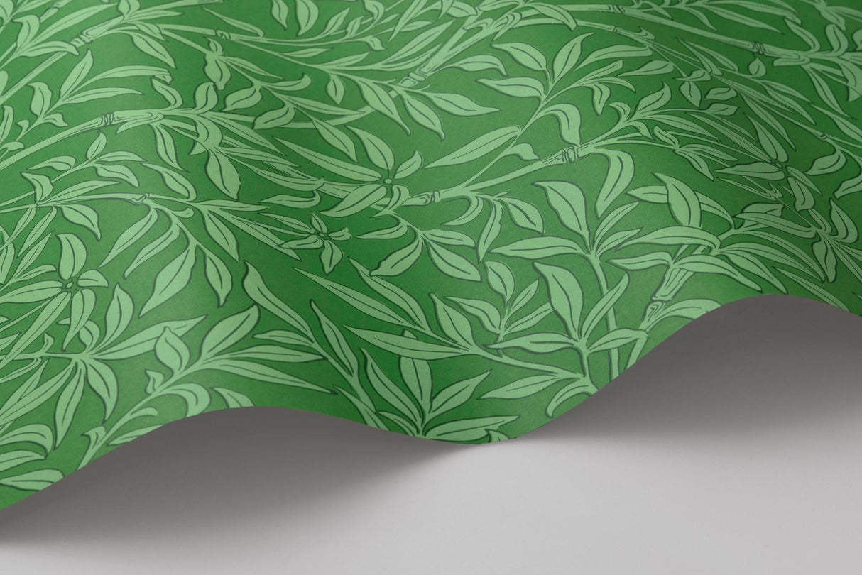 Cole & Son BAMBOO FOREST EMERALD Wallpaper