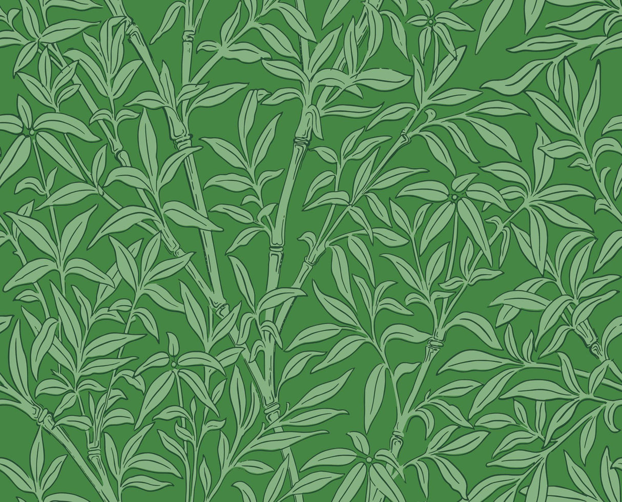 Cole & Son BAMBOO FOREST EMERALD Wallpaper