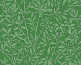 Cole & Son BAMBOO FOREST EMERALD Wallpaper