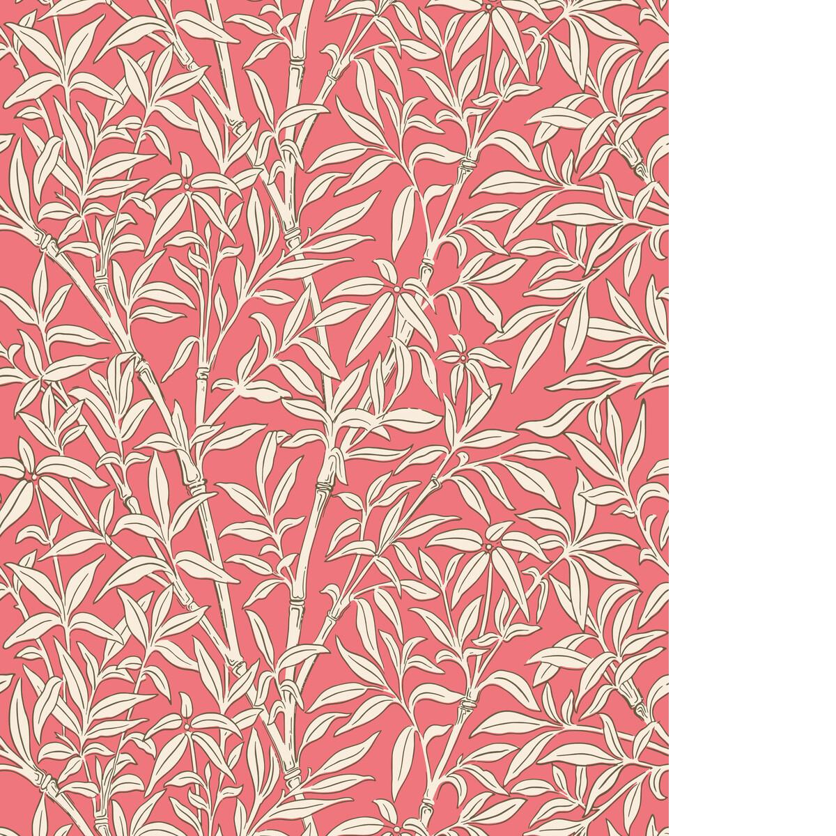 Cole & Son BAMBOO FOREST CHALK/ROUGE Wallpaper