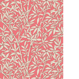 Cole & Son BAMBOO FOREST CHALK/ROUGE Wallpaper