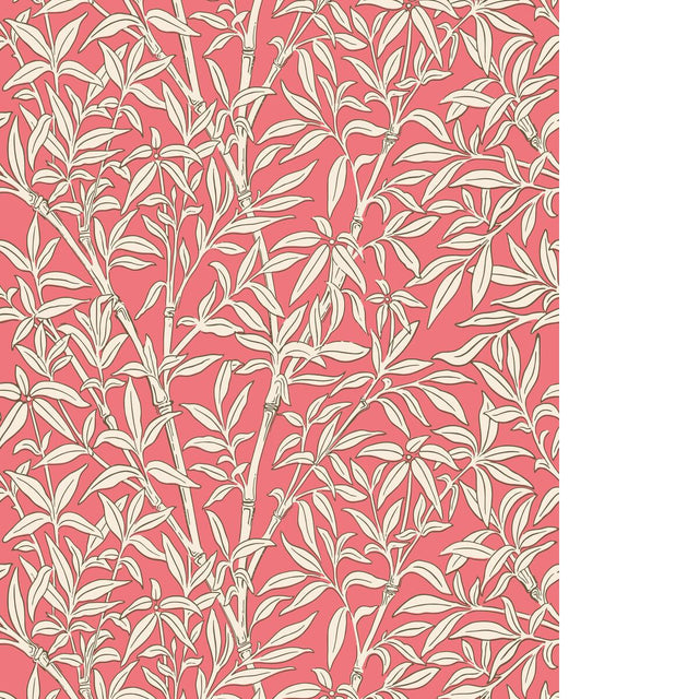 Cole & Son BAMBOO FOREST CHALK/ROUGE Wallpaper