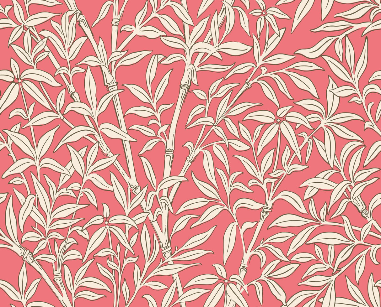 Cole & Son BAMBOO FOREST CHALK/ROUGE Wallpaper