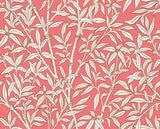 Cole & Son BAMBOO FOREST CHALK/ROUGE Wallpaper