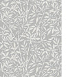 Cole & Son BAMBOO FOREST FROST Wallpaper