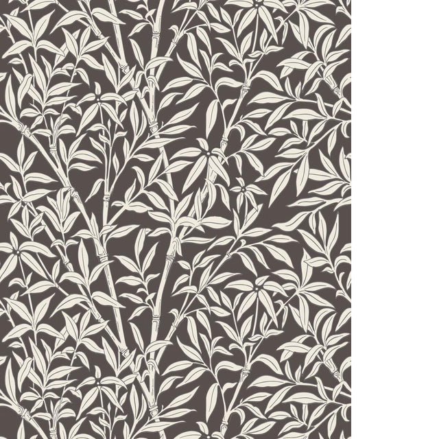 Cole & Son BAMBOO FOREST SNOW ON SOOT Wallpaper
