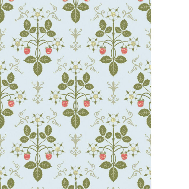 Cole & Son STRAWBERRY OLIVE/BLUE Wallpaper