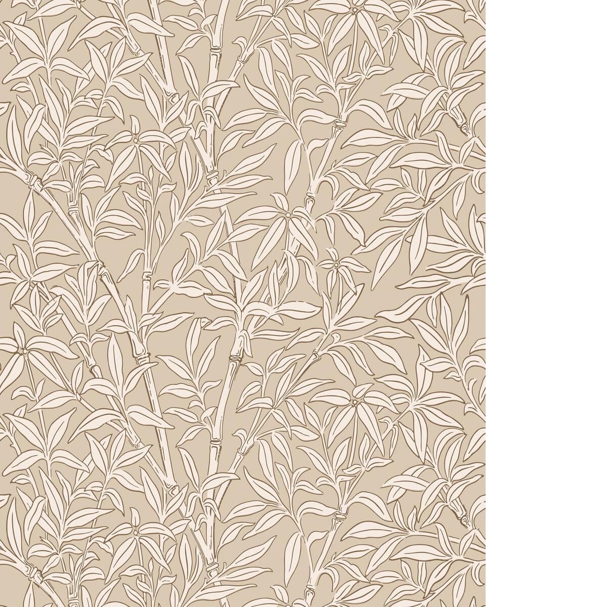 Cole & Son BAMBOO FOREST OAT Wallpaper