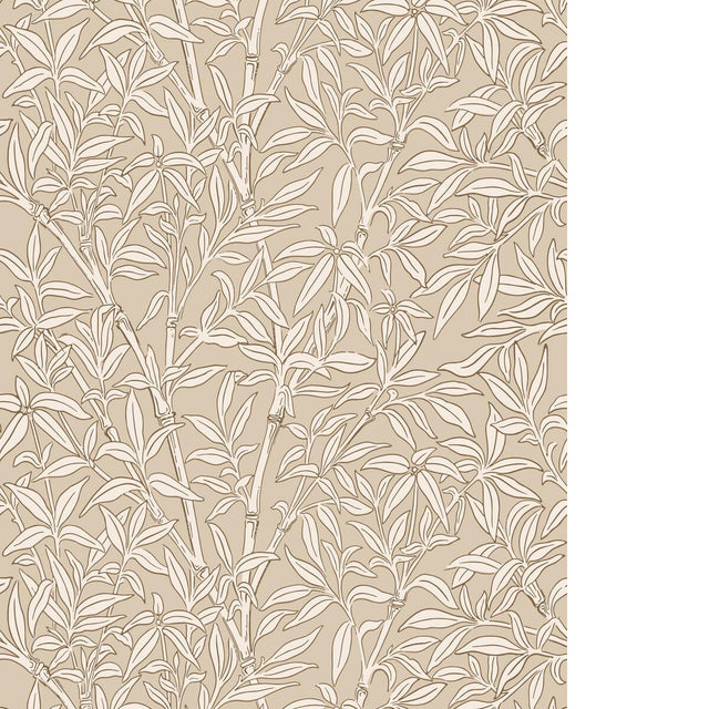 Cole & Son BAMBOO FOREST OAT Wallpaper
