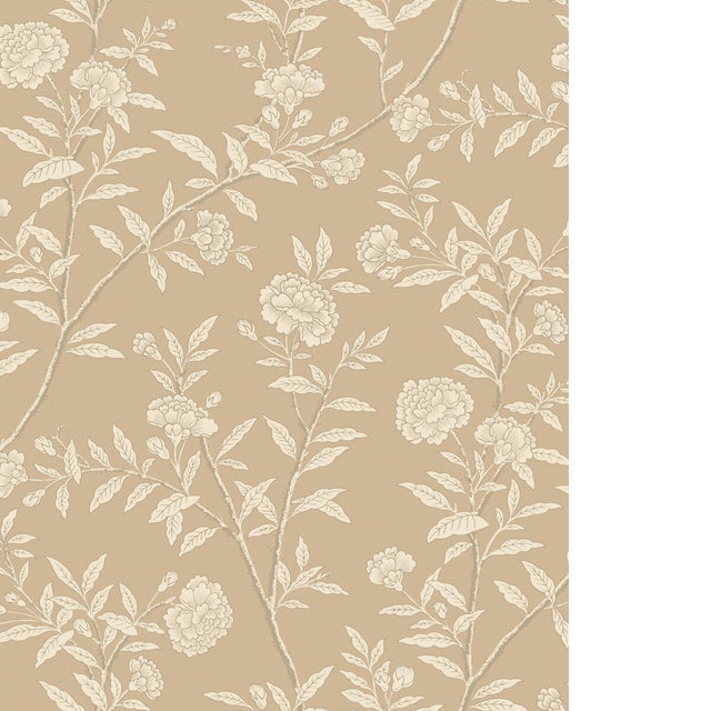 Cole & Son ROSEBERRY CHAMPAGNE Wallpaper