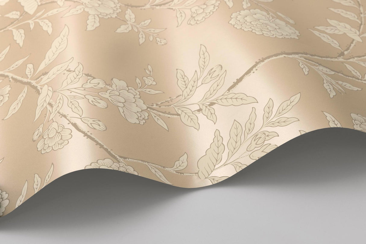 Cole & Son ROSEBERRY CHAMPAGNE Wallpaper