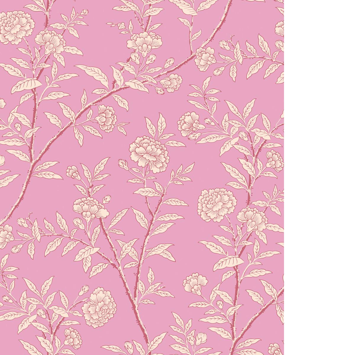 Cole & Son ROSEBERRY FUCHSIA Wallpaper