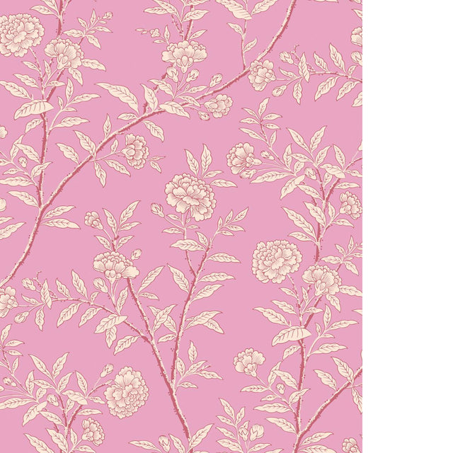 Cole & Son ROSEBERRY FUCHSIA Wallpaper