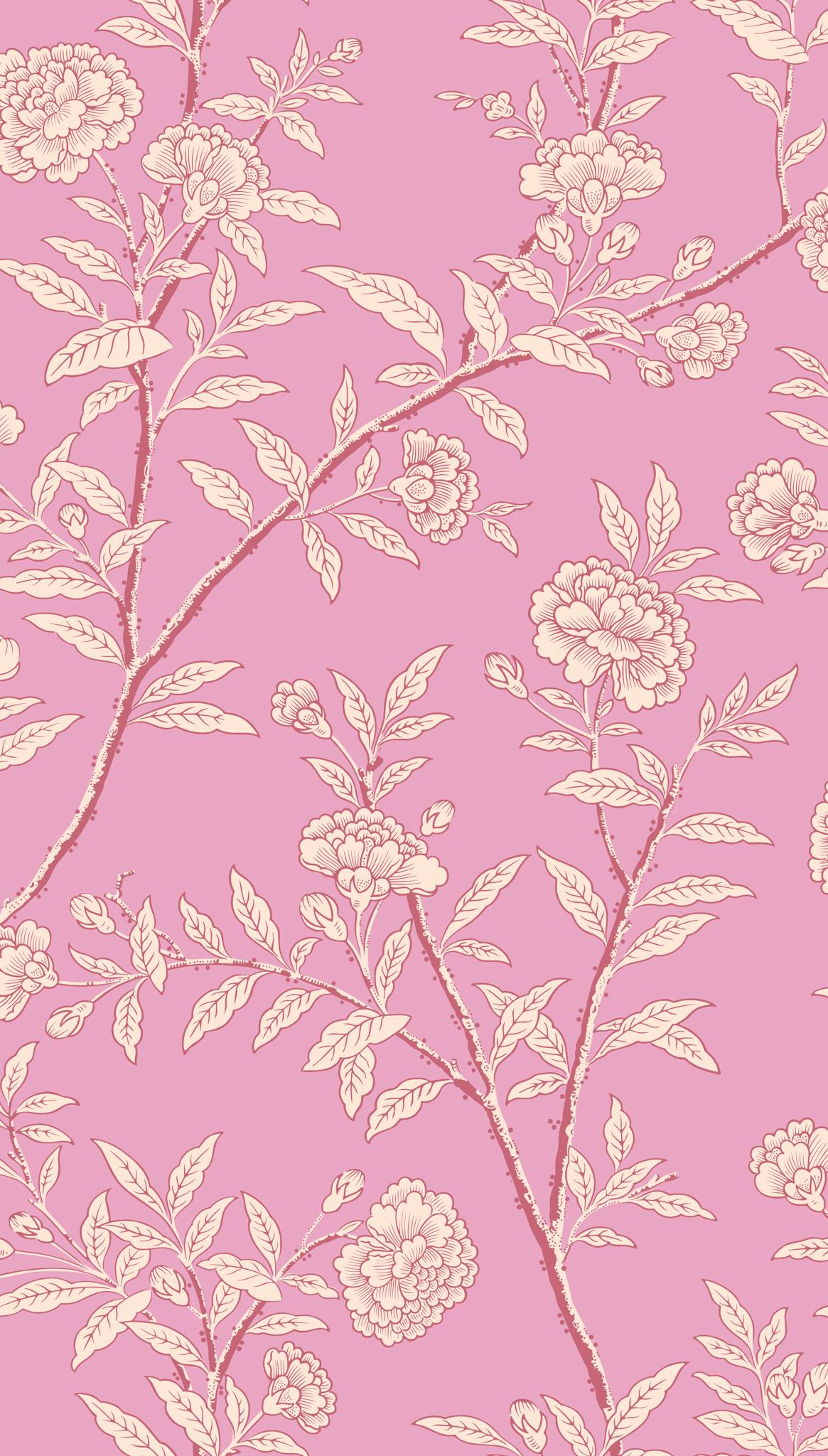 Cole & Son ROSEBERRY FUCHSIA Wallpaper