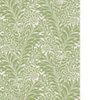 Cole & Son HONEYSUCKLE SPRING GREEN Wallpaper