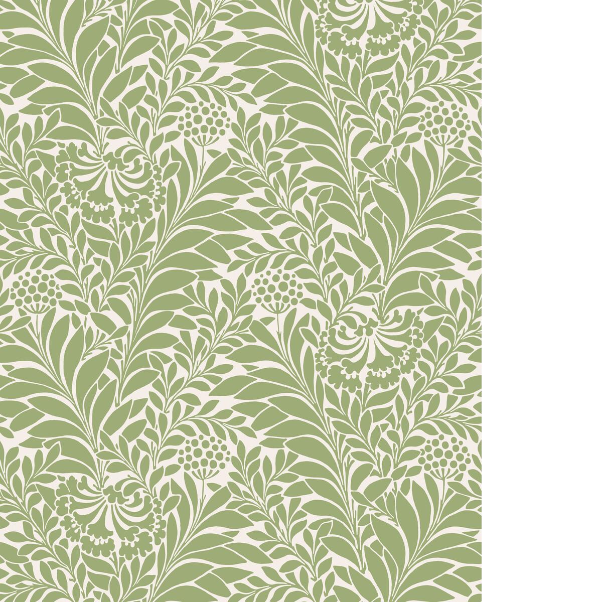 Cole & Son HONEYSUCKLE SPRING GREEN Wallpaper